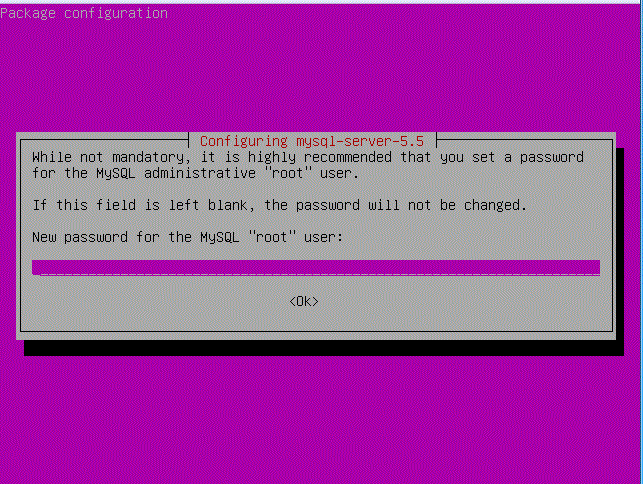mySQL Password Screen