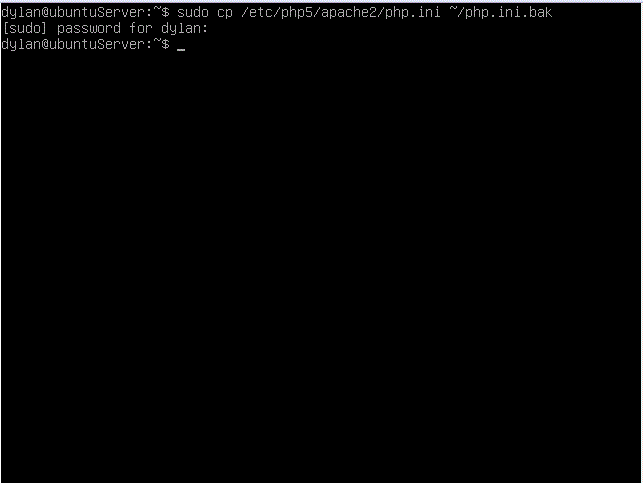 Copy PHP config file