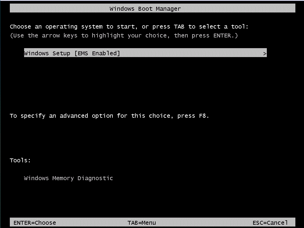 Install windows with ems